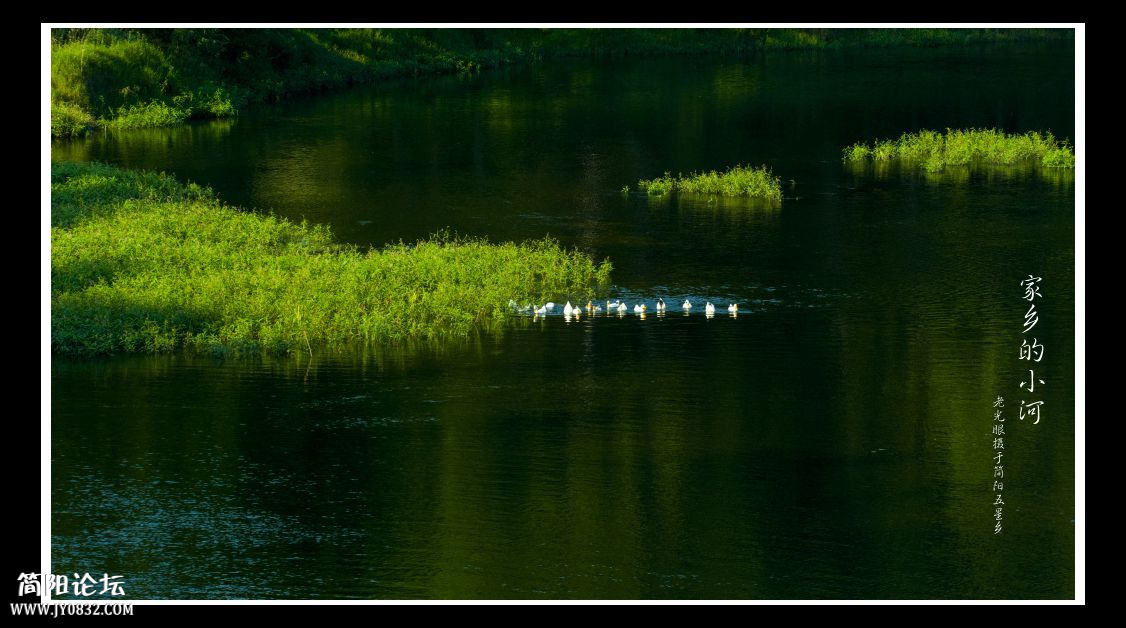 DSC_1132.jpg
