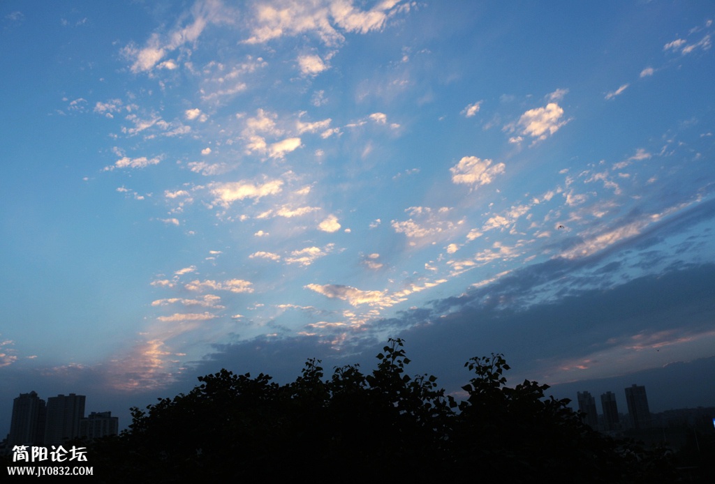 IMG_9753.jpg