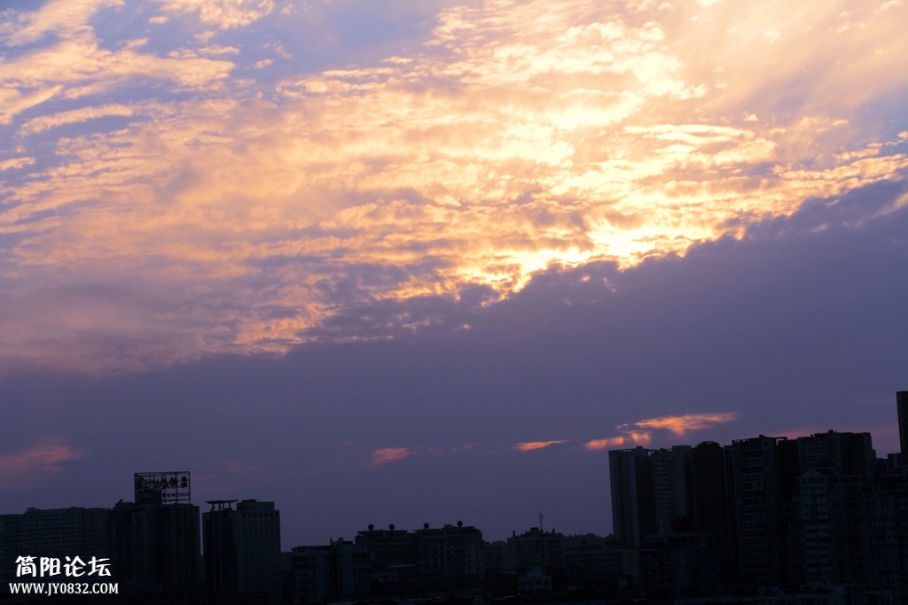 IMG_9740.jpg