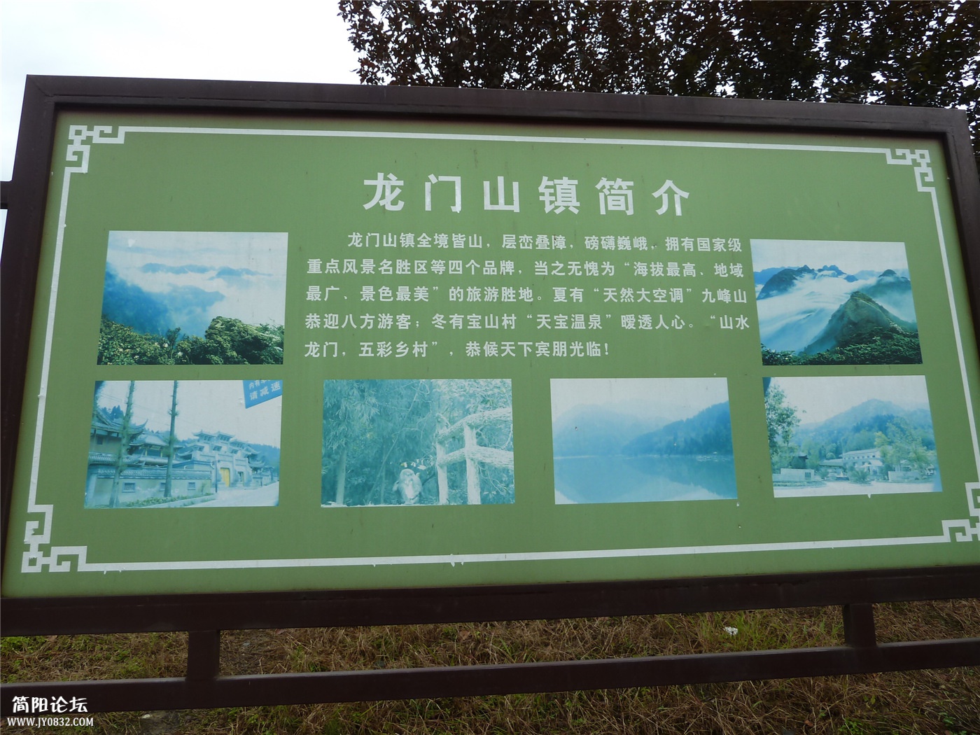 01.jpg