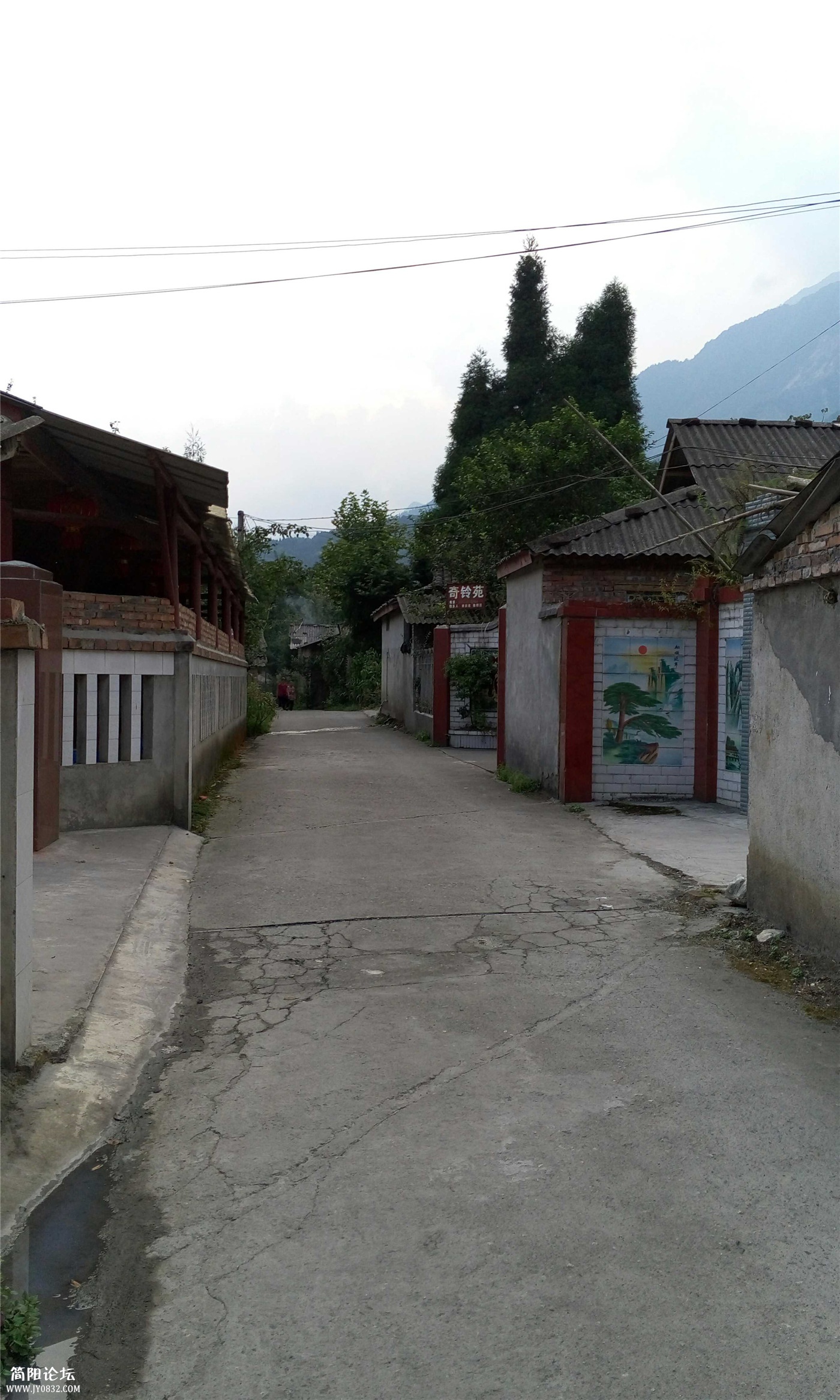 05.jpg