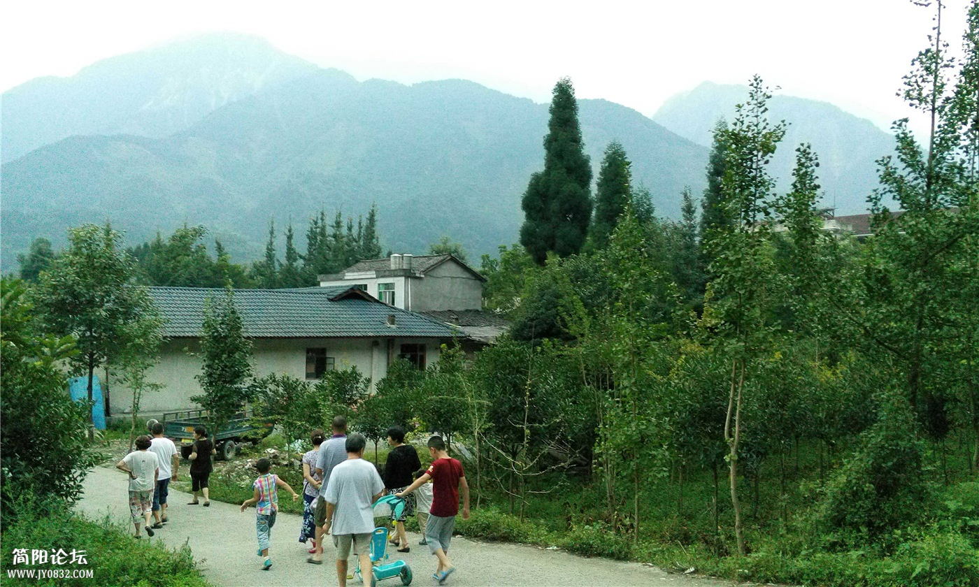 P50806-195935.jpg