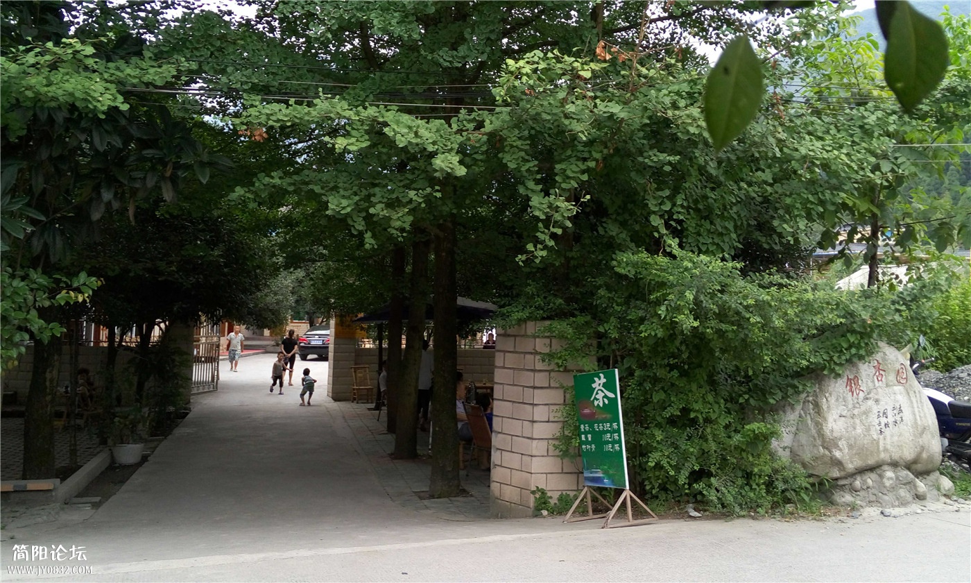 P50806-165246.jpg