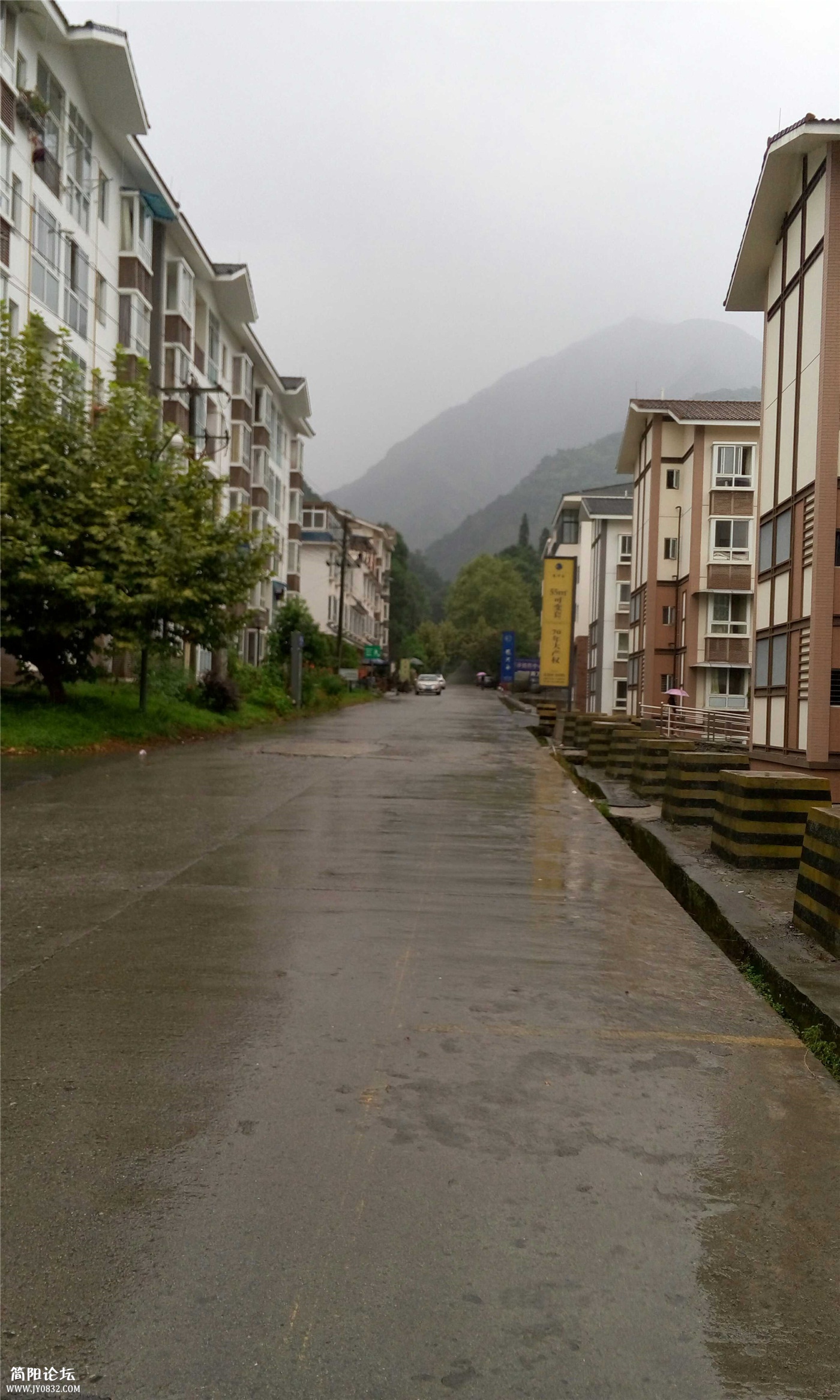 P50807-085835.jpg