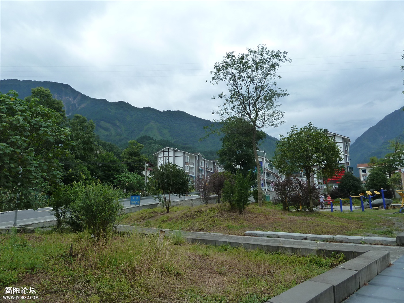 P1150811.jpg