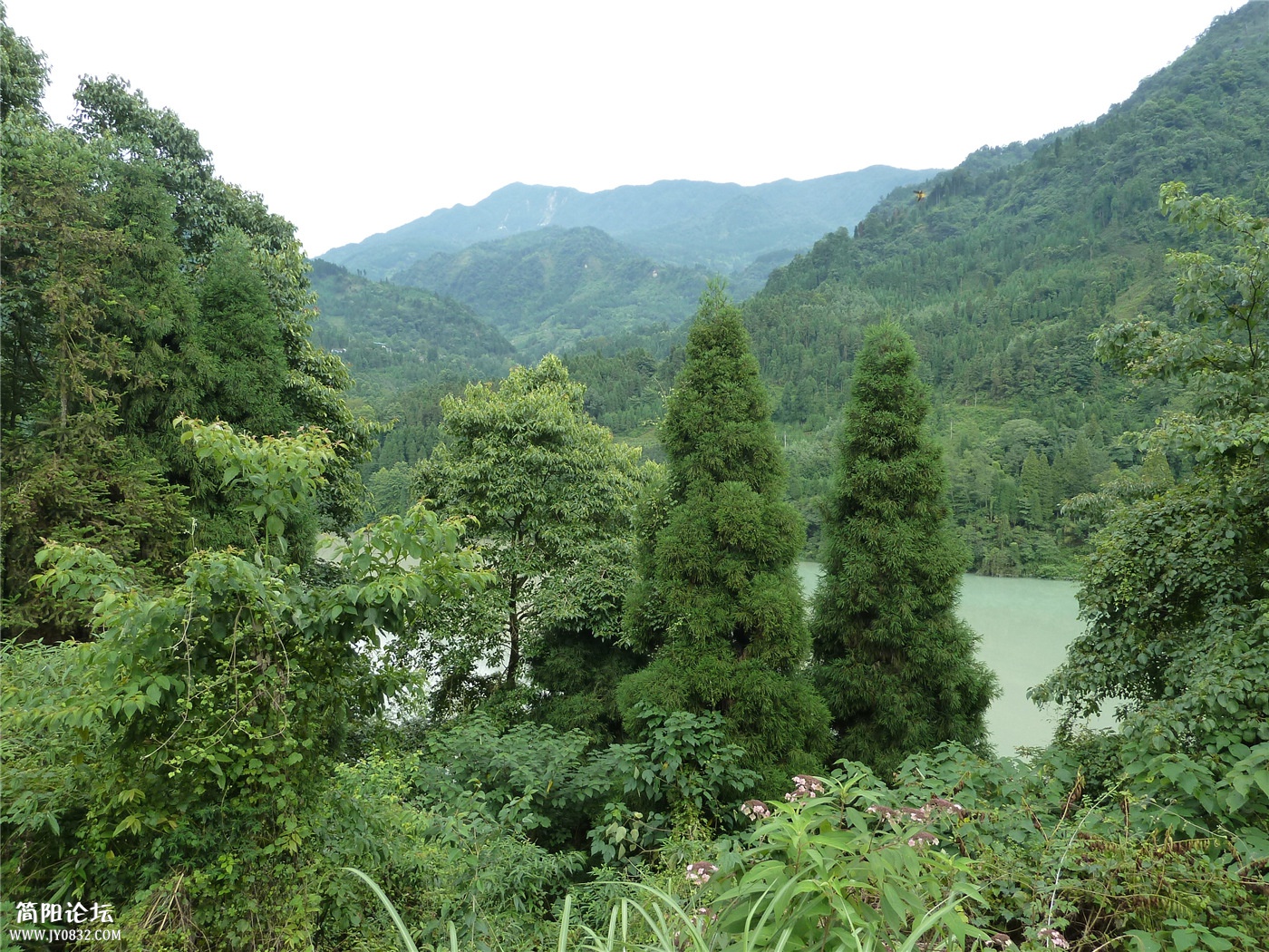 P1150847.jpg