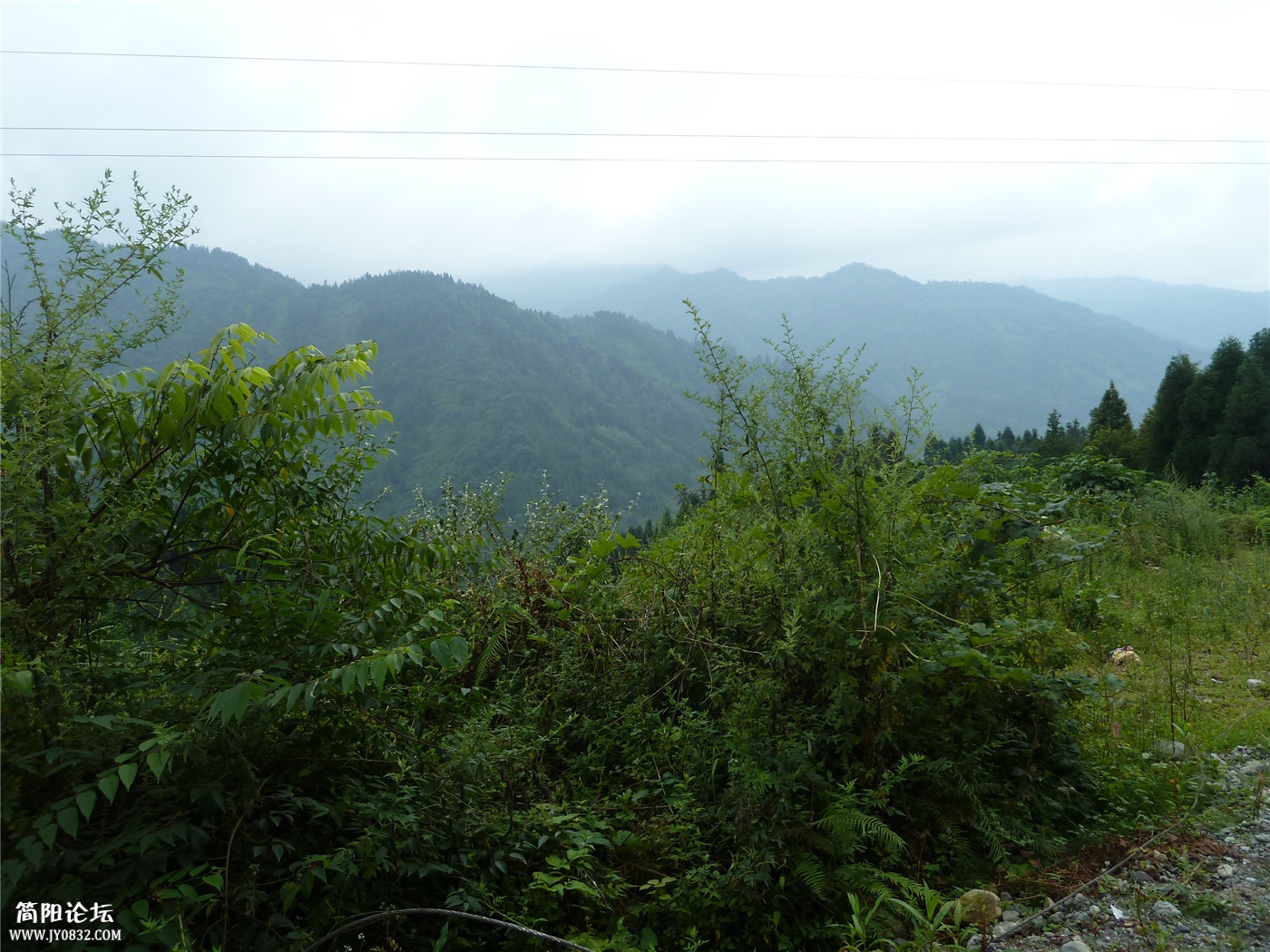 P1160013.jpg
