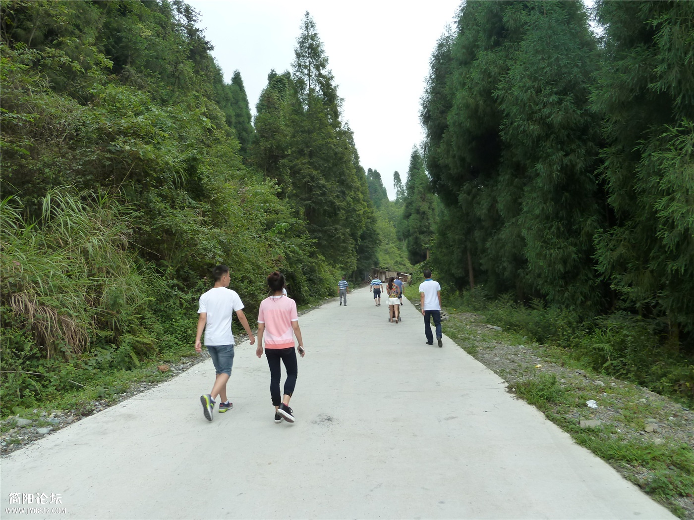 P1160014.jpg