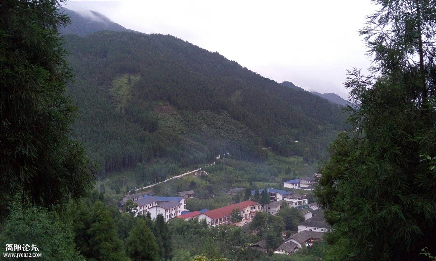 P50809-065839.jpg