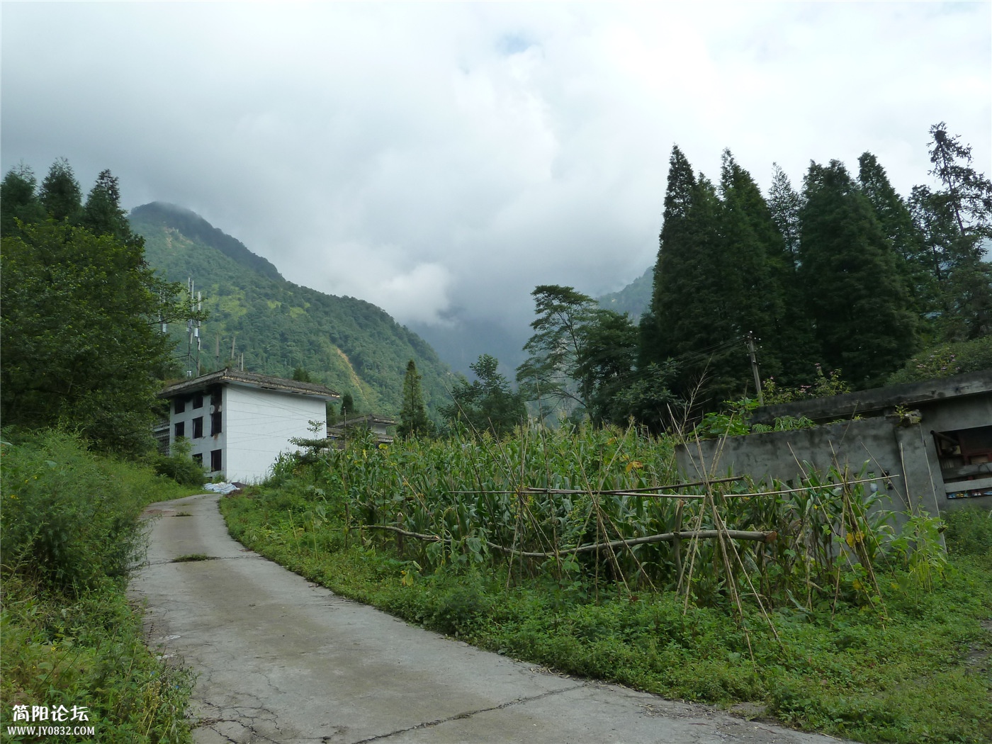P1150875.jpg
