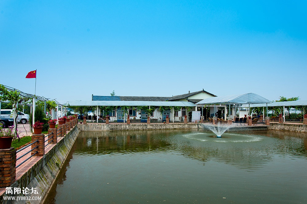 DSC_6554-1.jpg