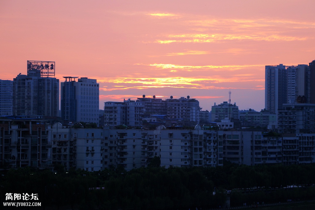 IMG_9803.jpg