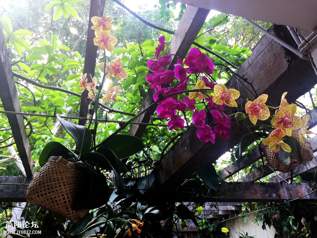 PIC_20150508_095428_C27.jpg