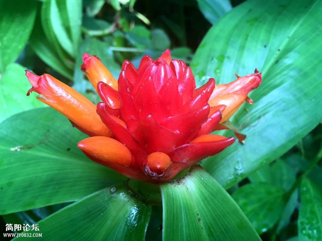 PIC_20150508_100925_EAF.jpg