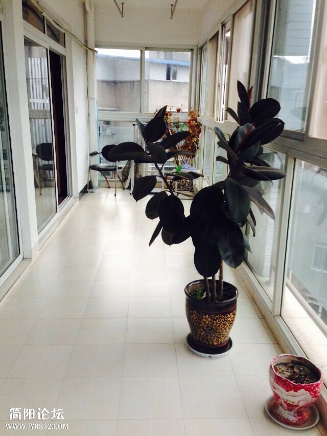 QQ图片20150823074812.jpg