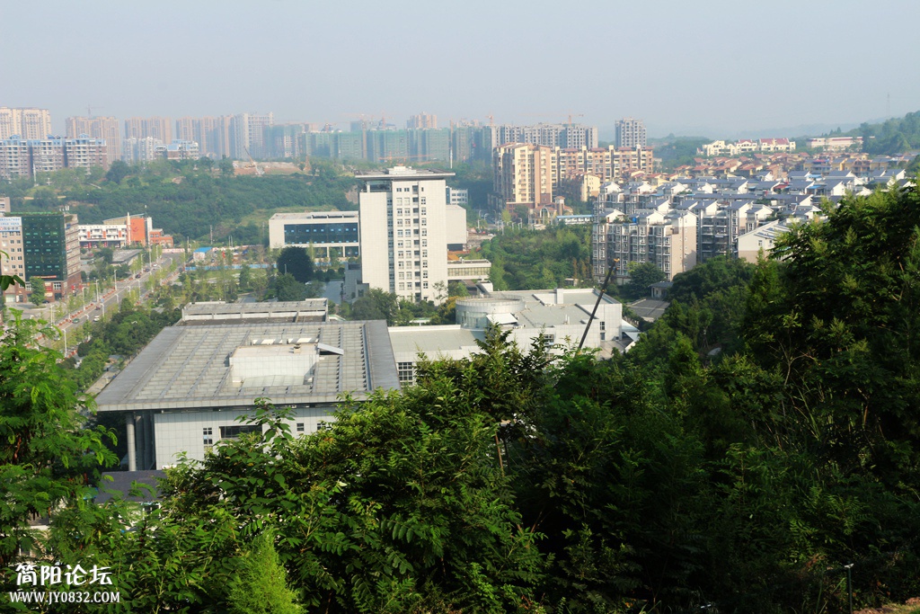 IMG_9882.jpg