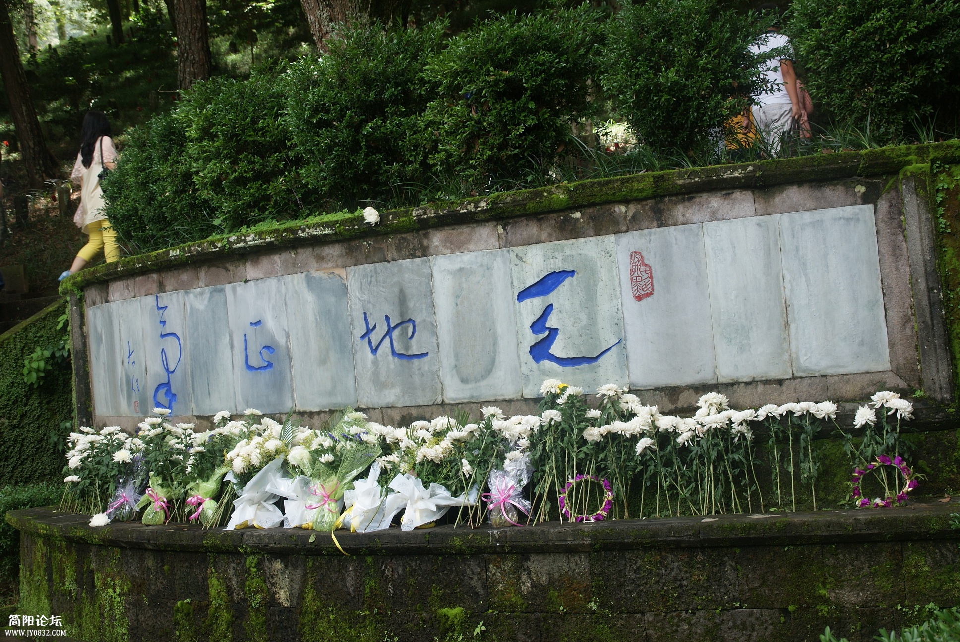 FILE033.jpg