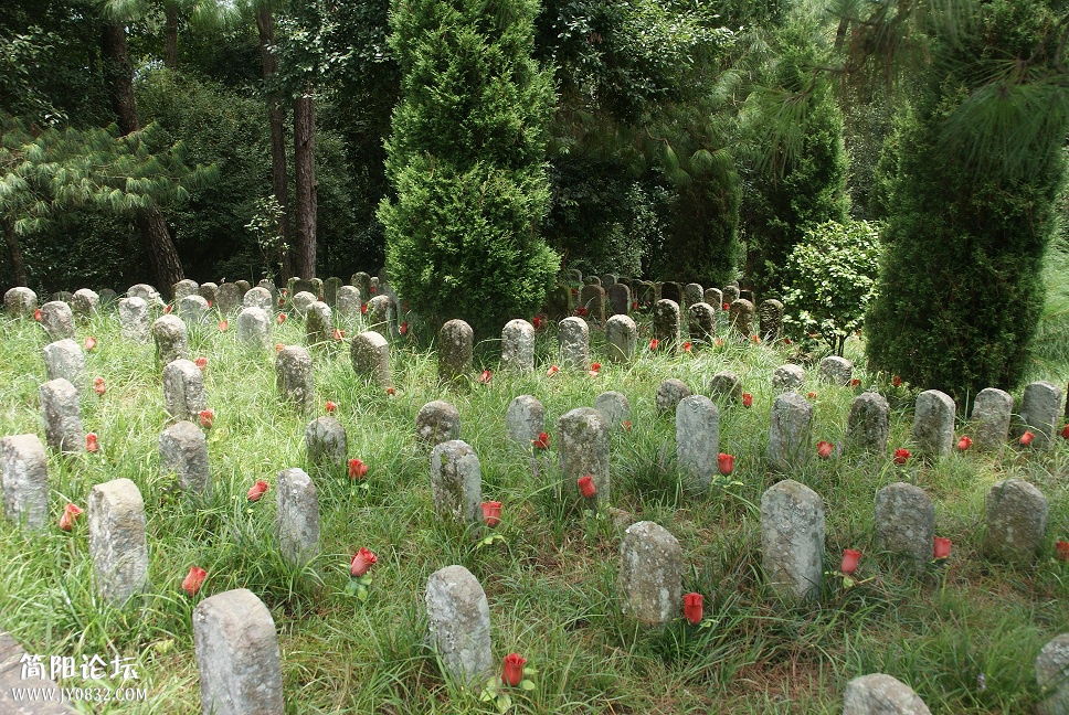 FILE049.jpg