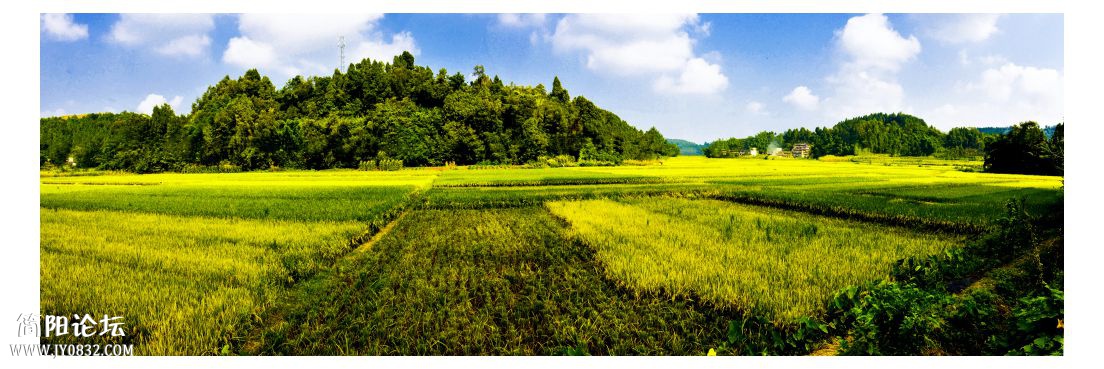 未标题_全景图1.jpg2.jpg4.jpg