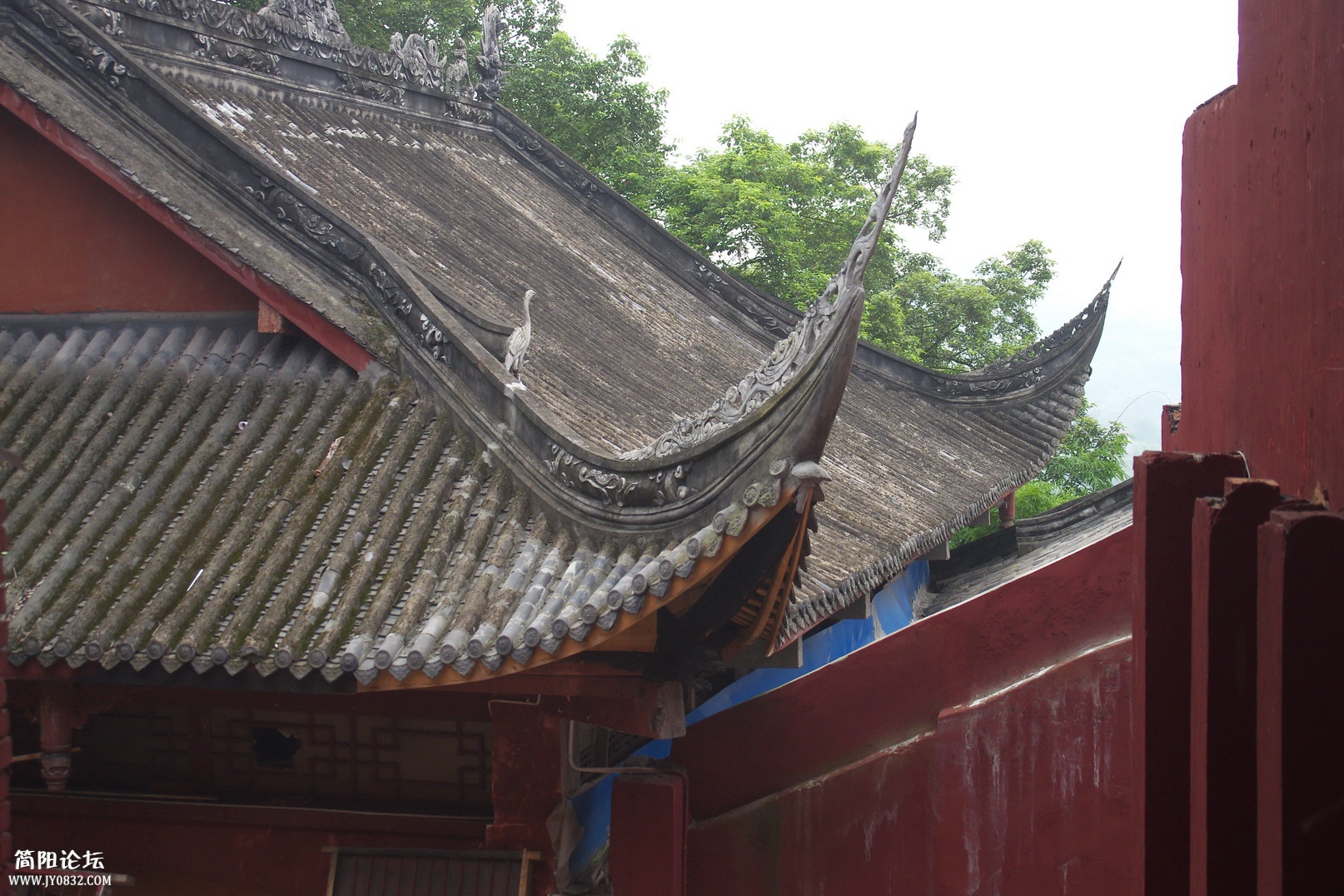 重龙山 (25).jpg