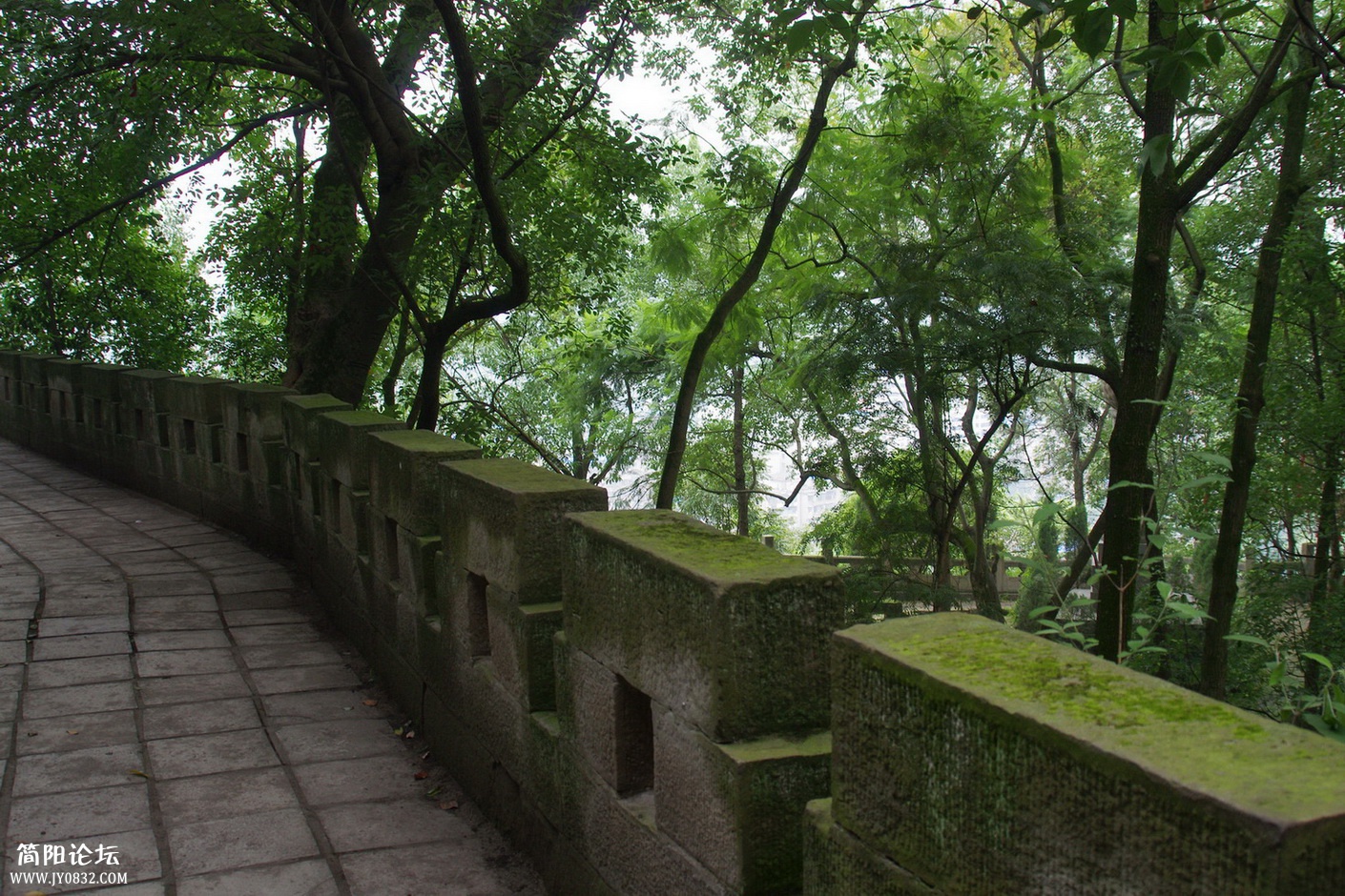 重龙山 (30).jpg