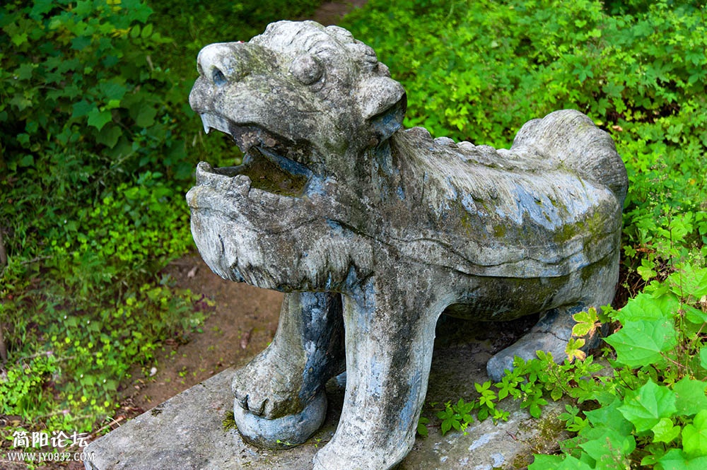 DSC_7102-1.jpg
