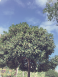 QQ图片20150925103023.png
