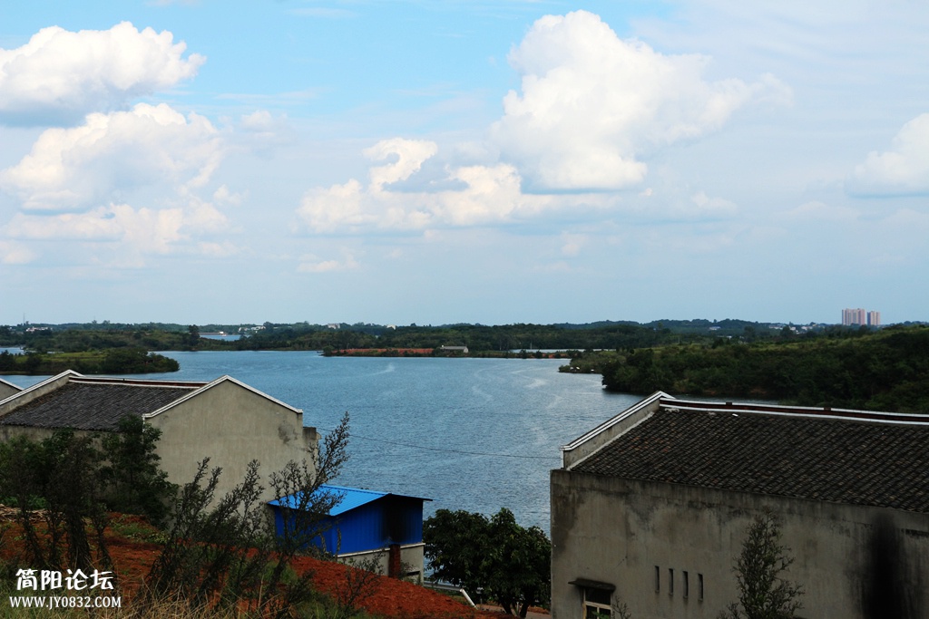IMG_0731.jpg
