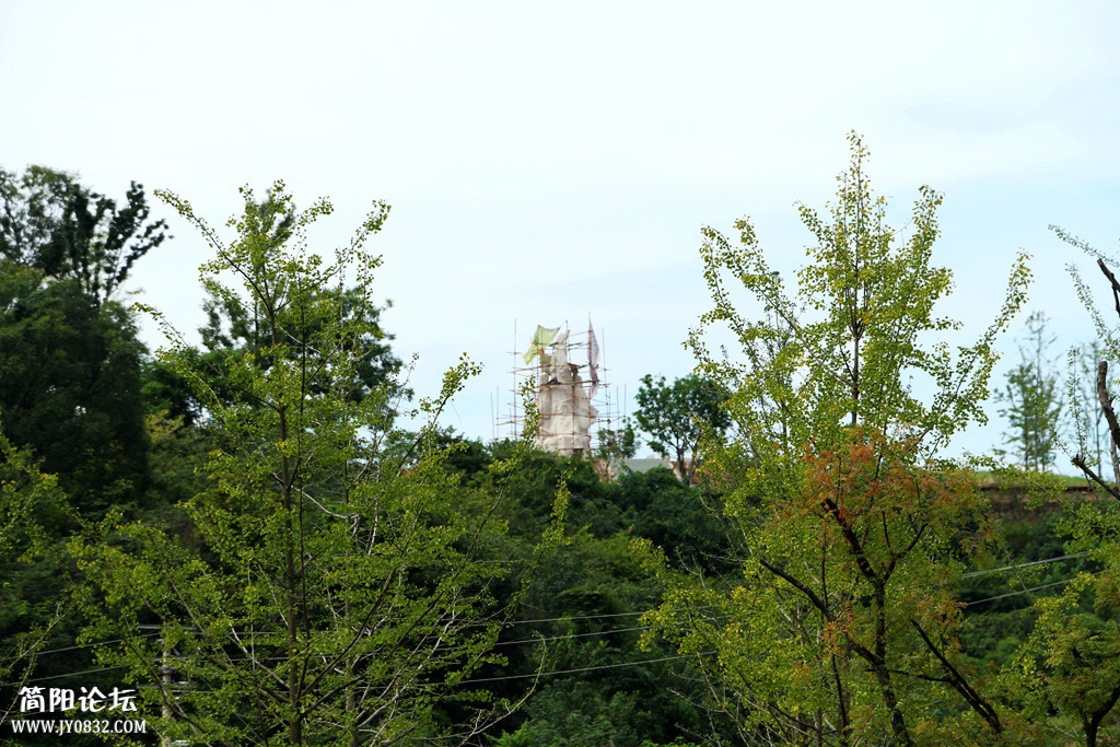IMG_0674.jpg