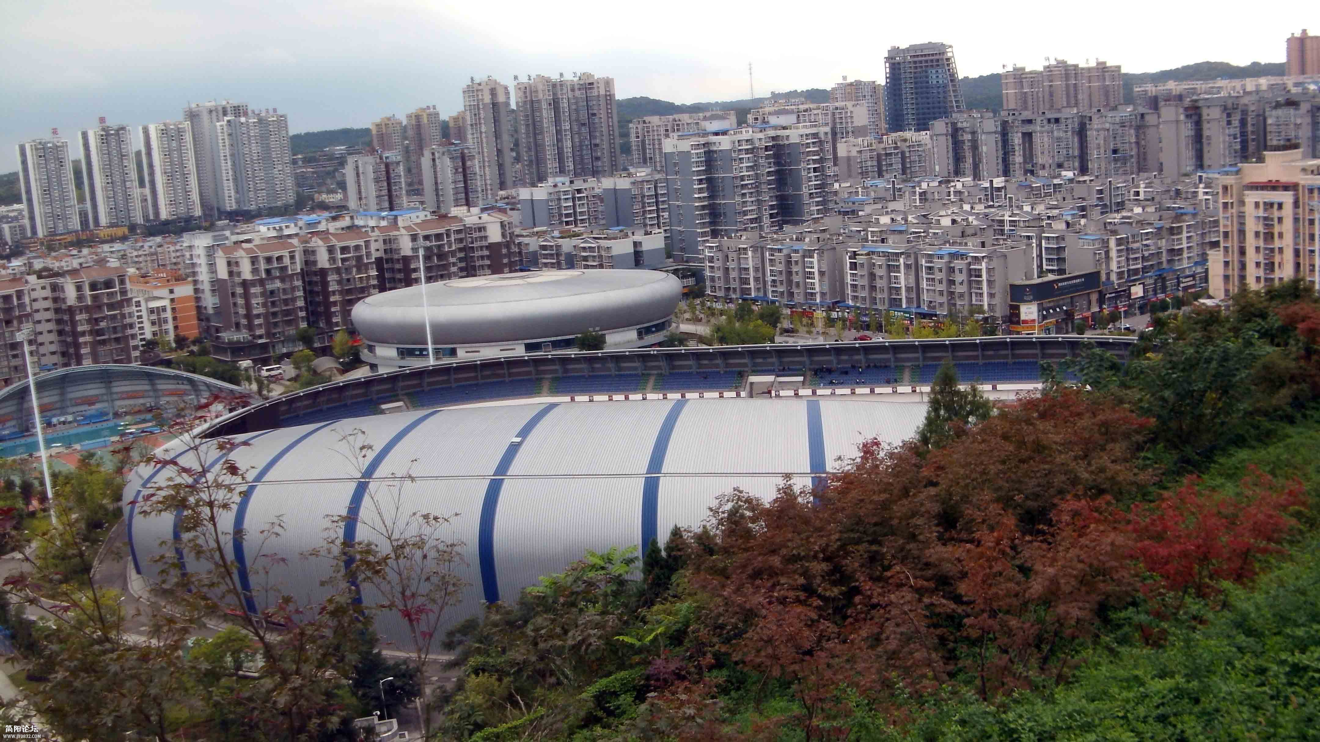 19.jpg