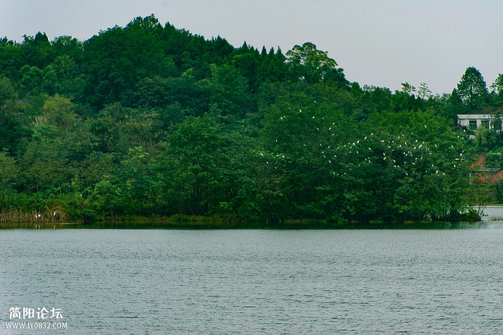 DSC_7422.jpg