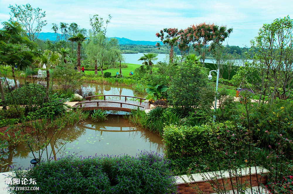 DSC_7462.jpg