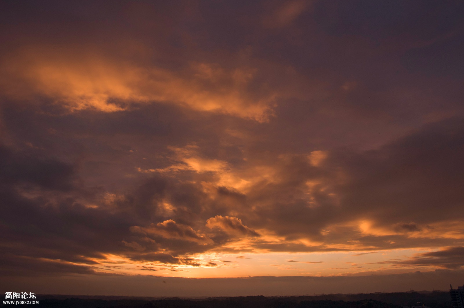 DSC_0414.jpg
