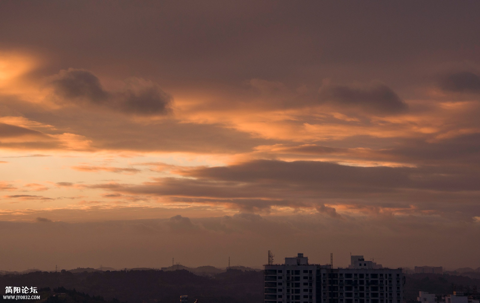 DSC_0417.jpg