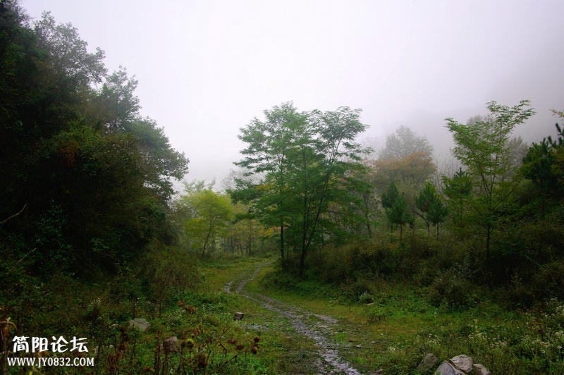 _IGP8834.jpg