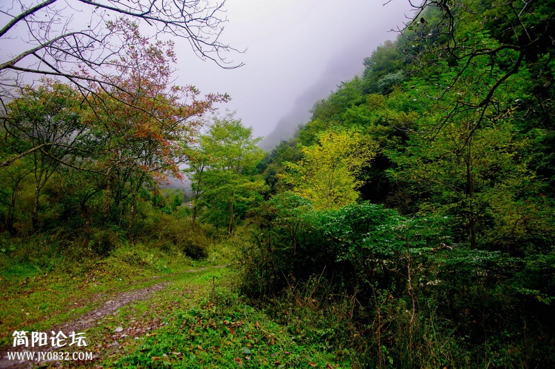 _IGP8847.jpg