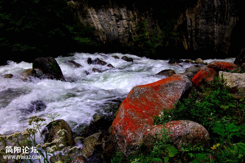 _IGP8957.jpg