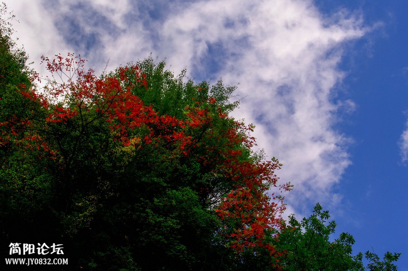 _IGP8961.jpg