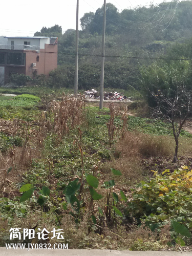 IMG20151012112646.jpg