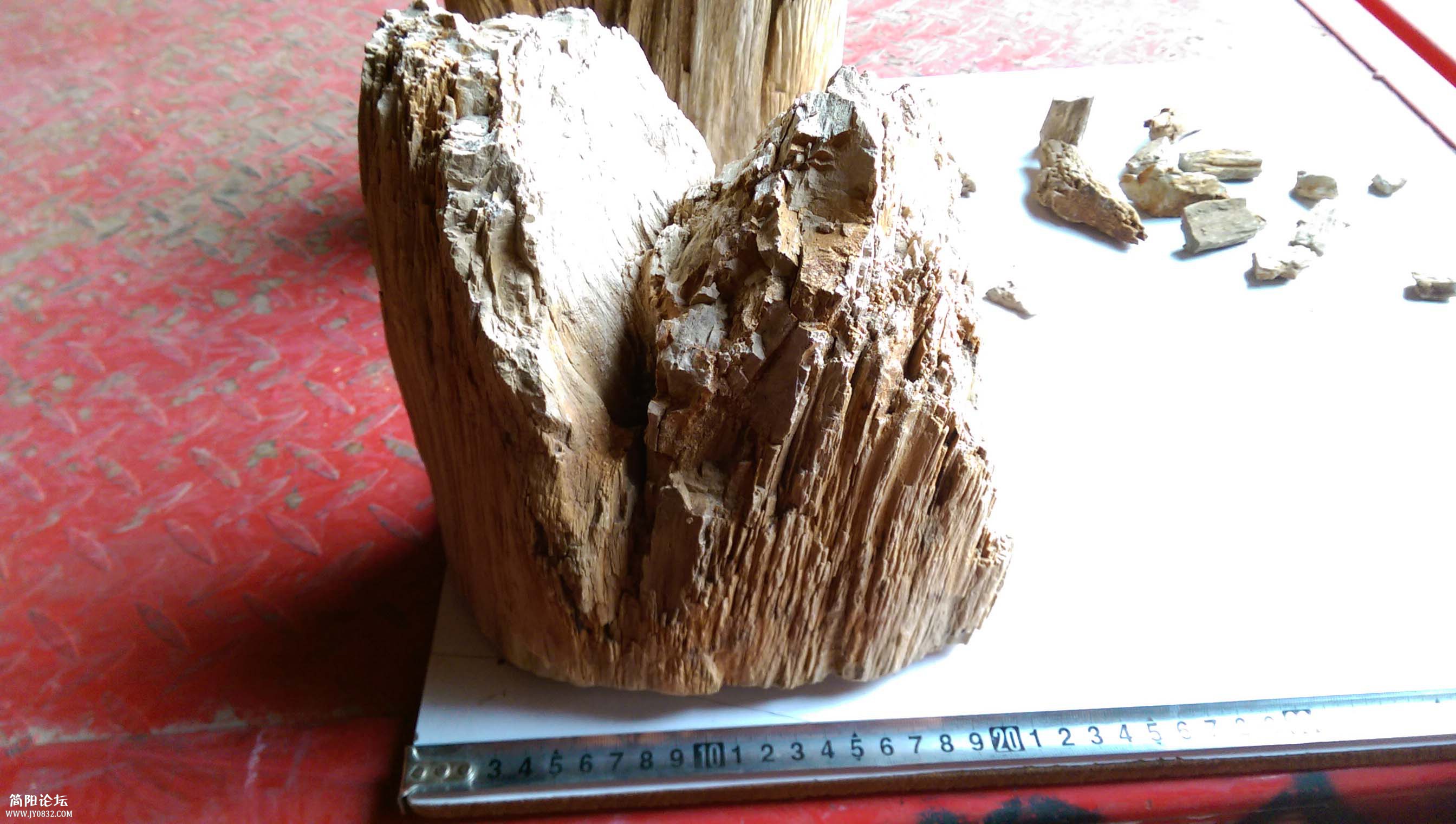IMAG0416.jpg