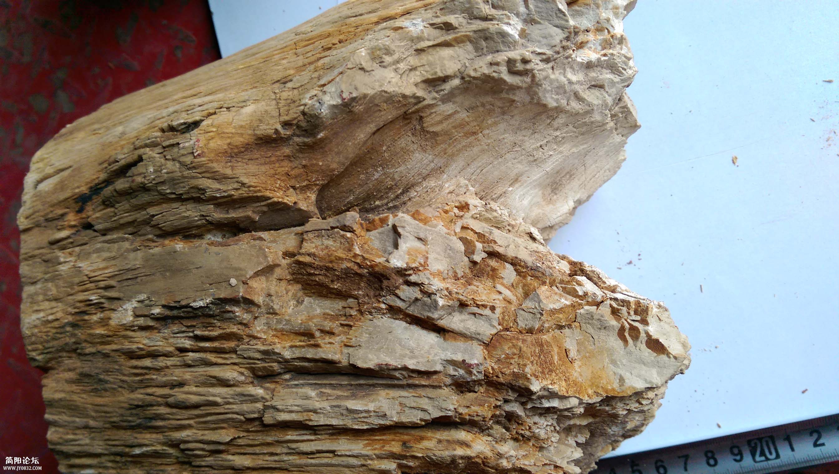 IMAG0419.jpg