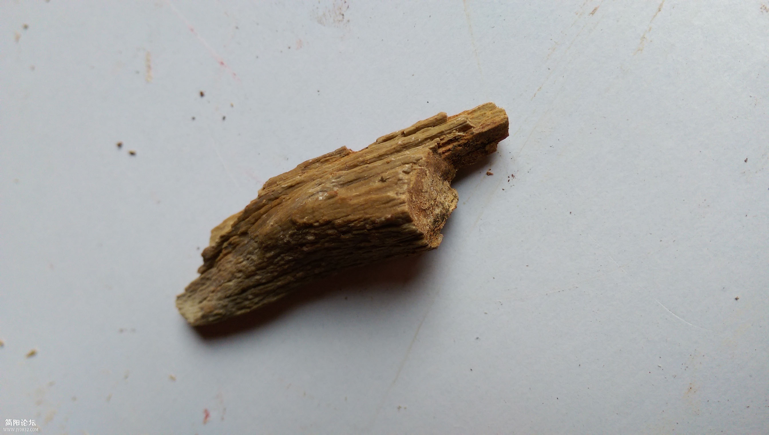 IMAG0429.jpg