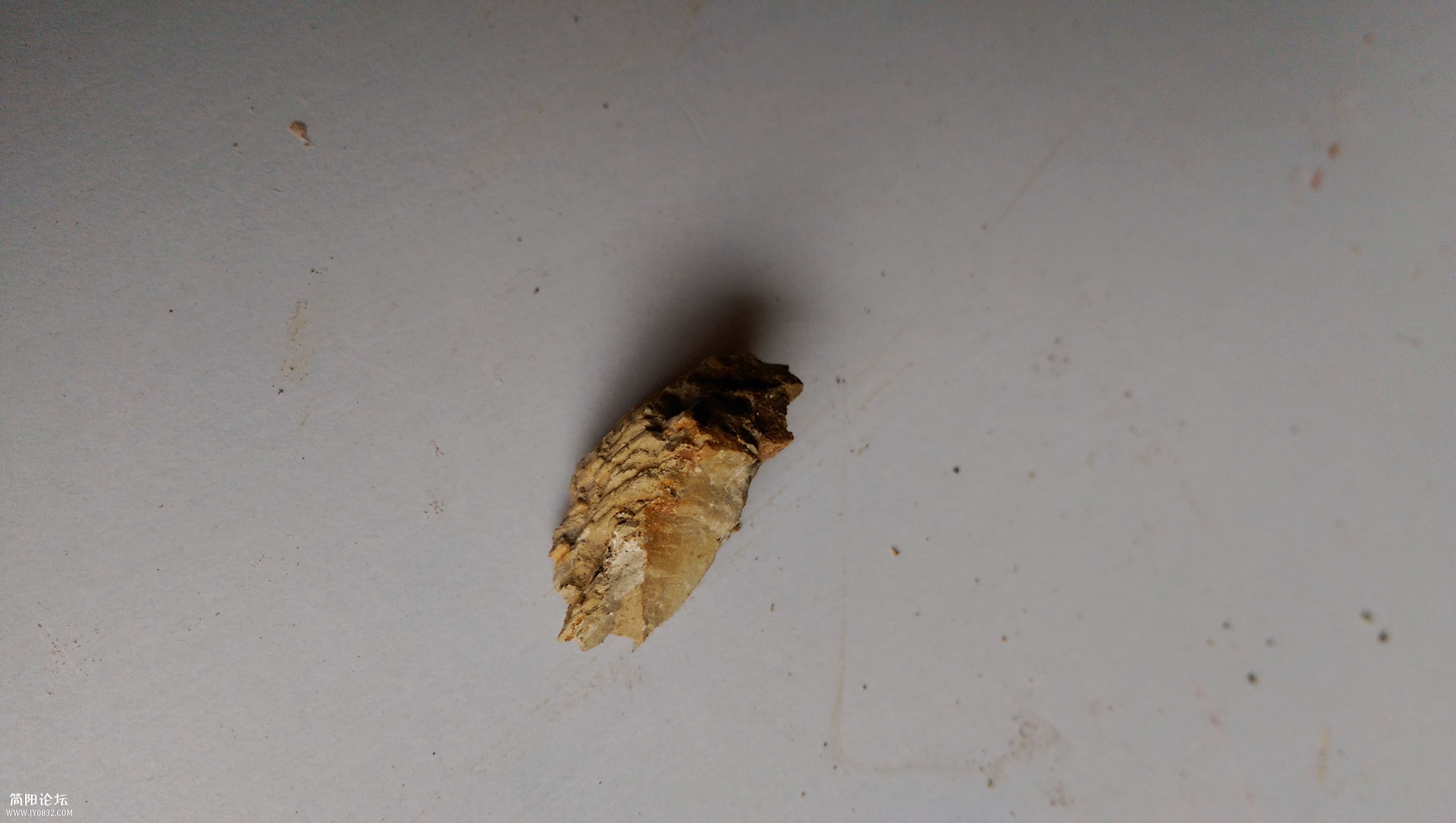 IMAG0431.jpg