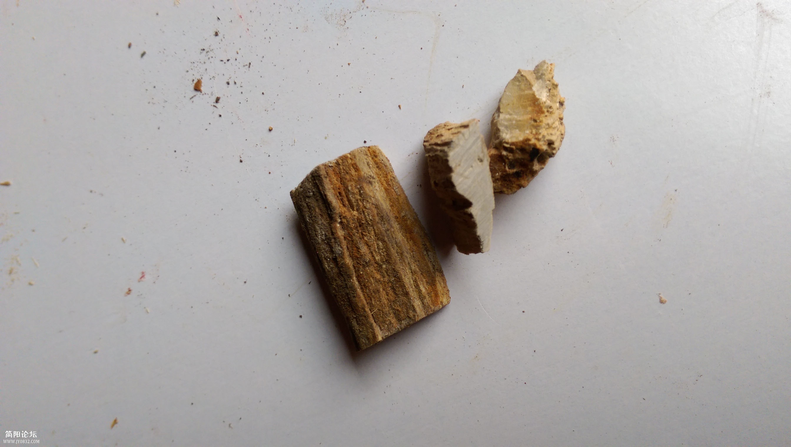 IMAG0432.jpg