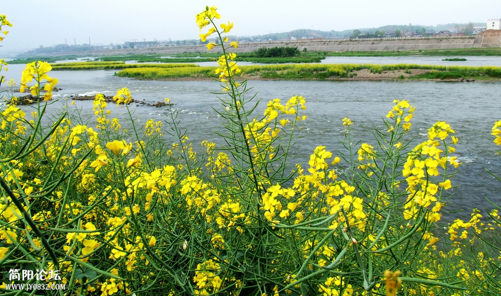 95-5【2008.4 沱二桥至糖厂】.jpg