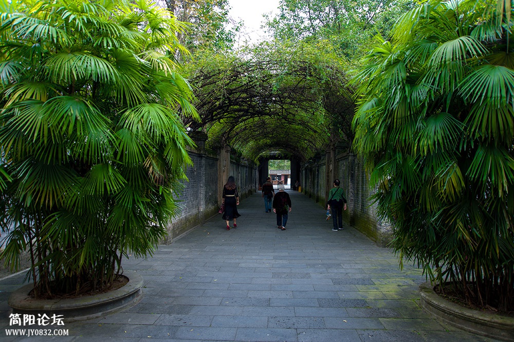 DSC_8017.jpg