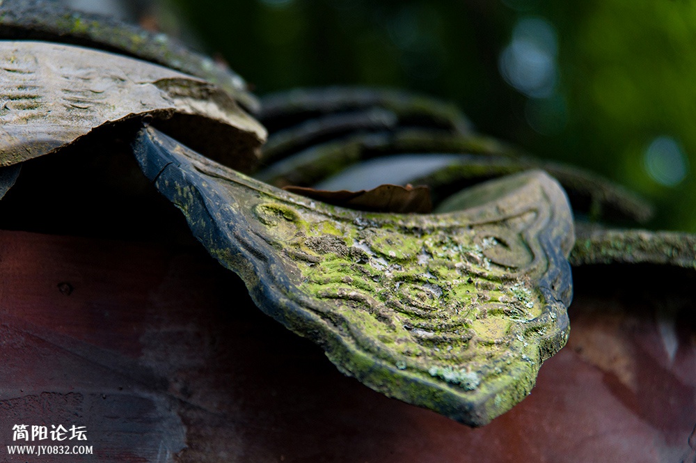 DSC_8059.jpg