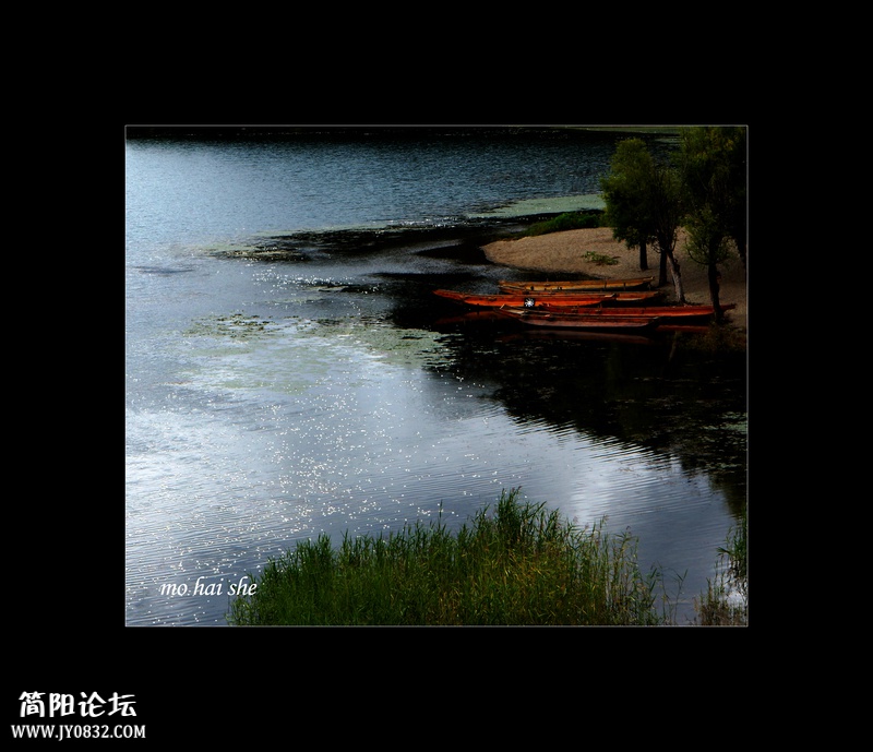 DSC00306--0.jpg