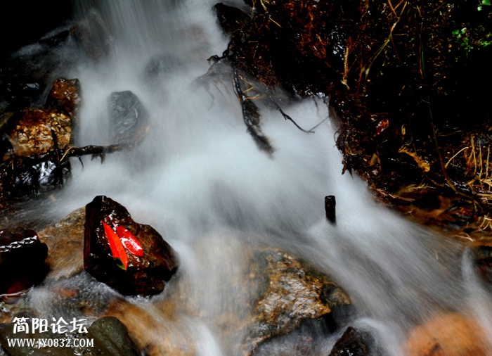 黄山水04.jpg