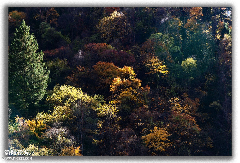 DSC_8298.jpg
